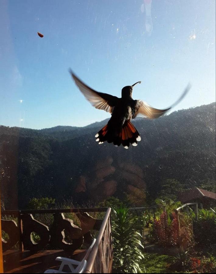 Pacuare Mountain Lodge Tres Equis Εξωτερικό φωτογραφία